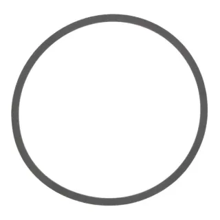 Gasket  01169896 DEUTZ