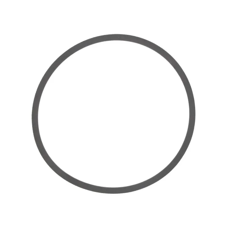 Gasket  01169896 DEUTZ