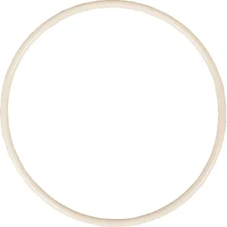 Oil Seal Front  01166111 DEUTZ