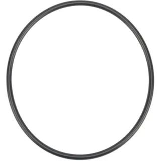 O-Ring  01166103 DEUTZ