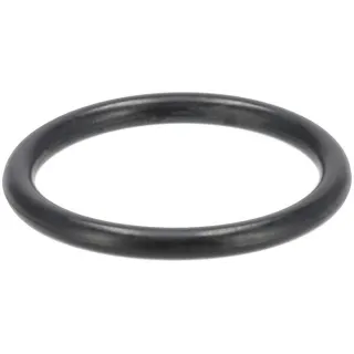 O-seal  01169763 DEUTZ