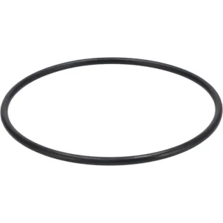 O-seal  01295701 DEUTZ