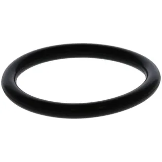 O-seal  01179559 DEUTZ