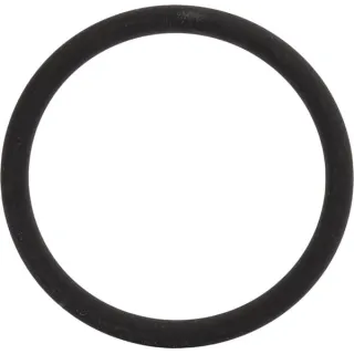 O-ring  01319139 DEUTZ