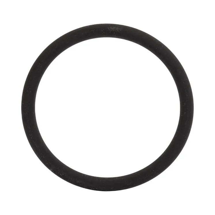 O-ring  01319139 DEUTZ