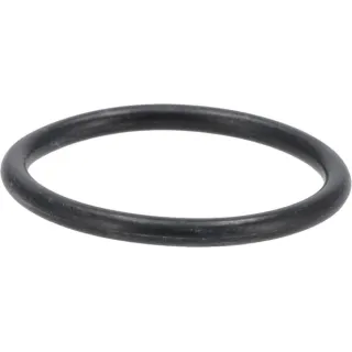 O-seal  01179881 DEUTZ