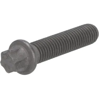 Torx galvas skrūve 01181756 DEUTZ