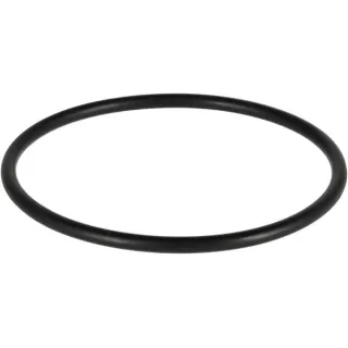 O-seal  01160962 DEUTZ
