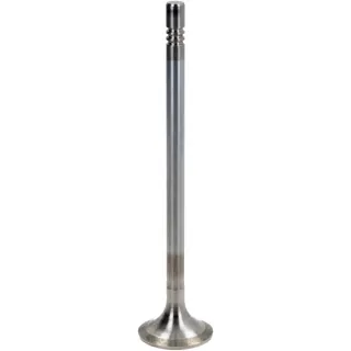 Exhaust valve  04514451 DEUTZ