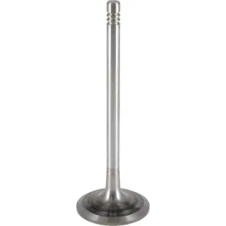 Inlet valve  04612319 DEUTZ