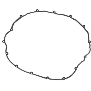 Gasket  04901626 DEUTZ