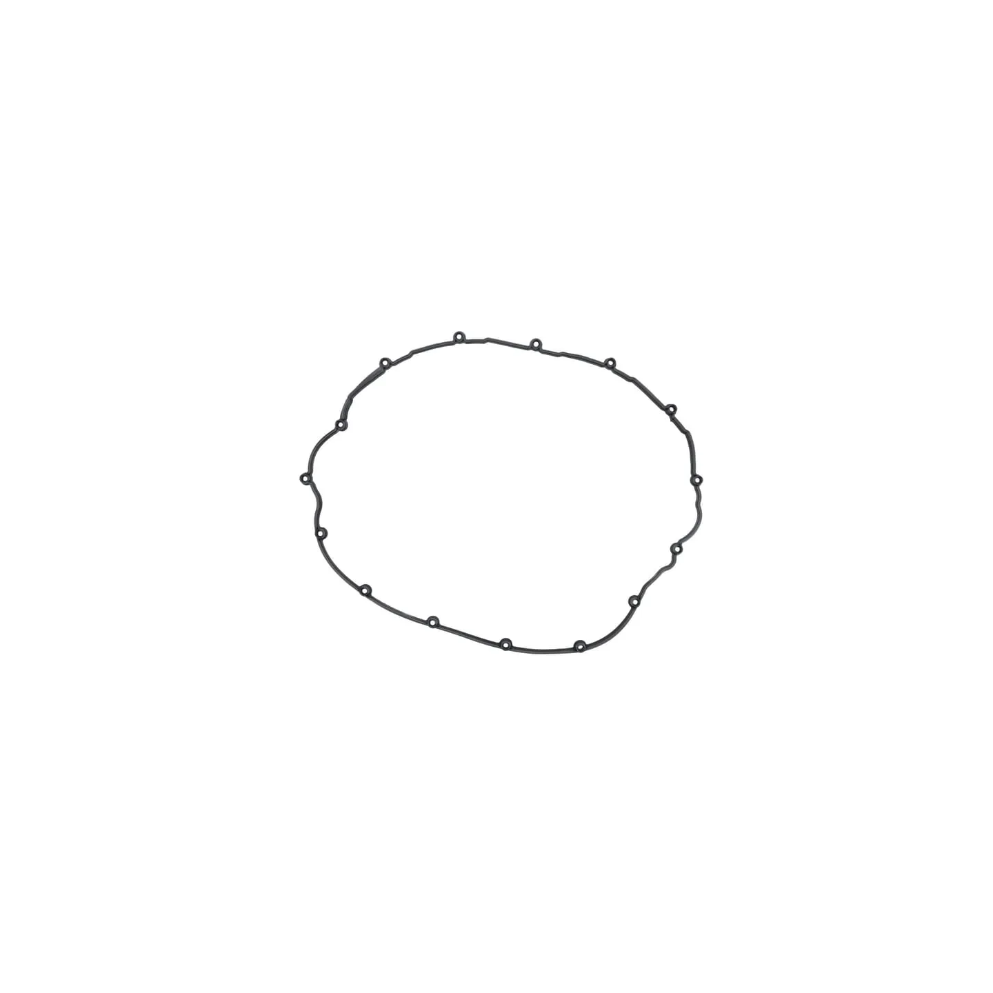 Gasket  04901626 DEUTZ