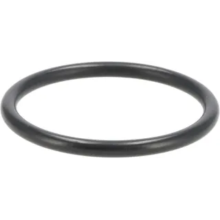 O-seal  04502241 DEUTZ