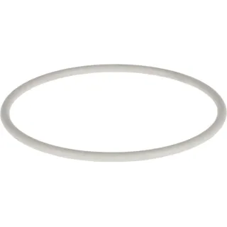 O-seal  02934900 DEUTZ