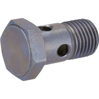 Hollow screw  02937881 DEUTZ