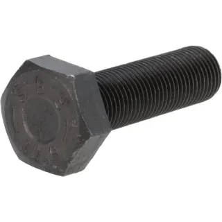 Hexagon bolt  06209713 DEUTZ