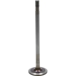 Inlet valve  04911394 DEUTZ