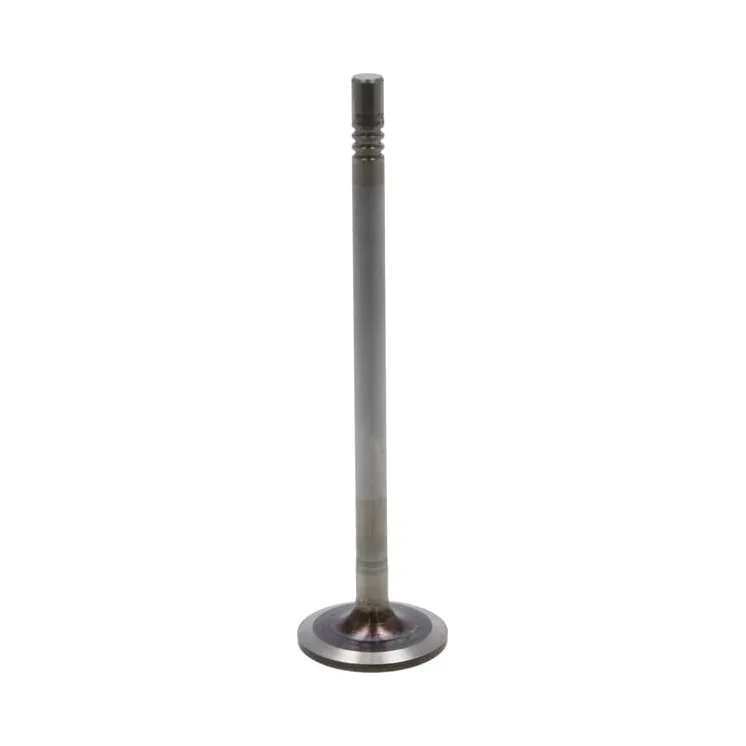 Inlet valve  04911394 DEUTZ