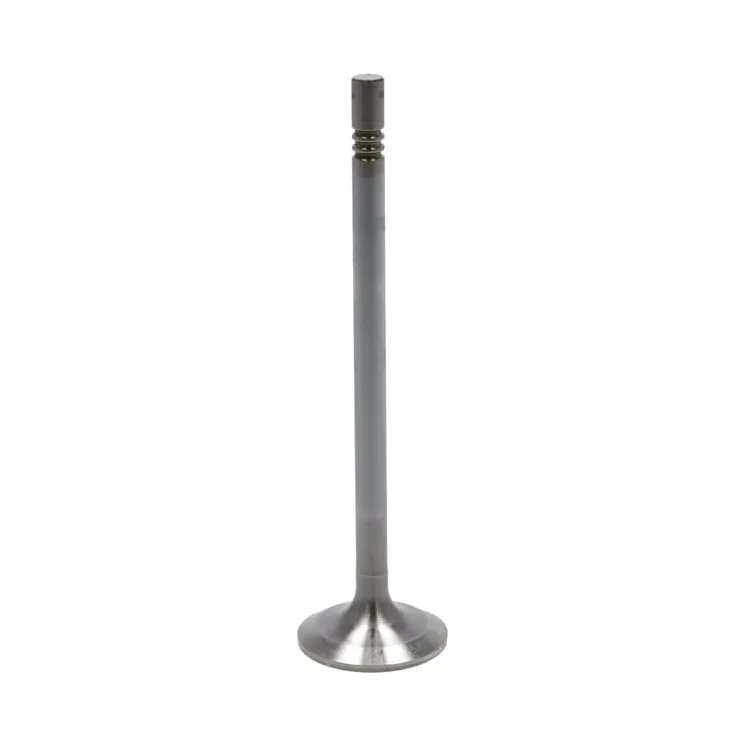 Inlet valve  04903005 DEUTZ