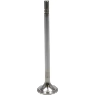 Exhaust valve  04914155 DEUTZ