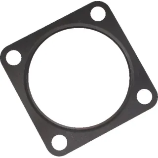 Exhaust Gasket  04209203 DEUTZ