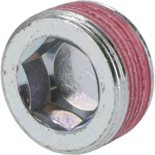 Screw plug  04271453 DEUTZ