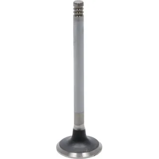Exhaust valve  04284043 DEUTZ