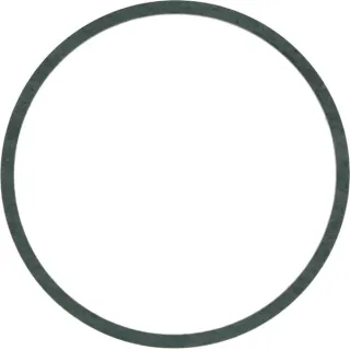 Gasket  04157257 DEUTZ