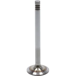 Inlet valve  04283378 DEUTZ