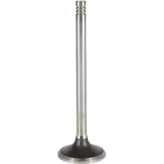 Exhaust valve  04290025 DEUTZ
