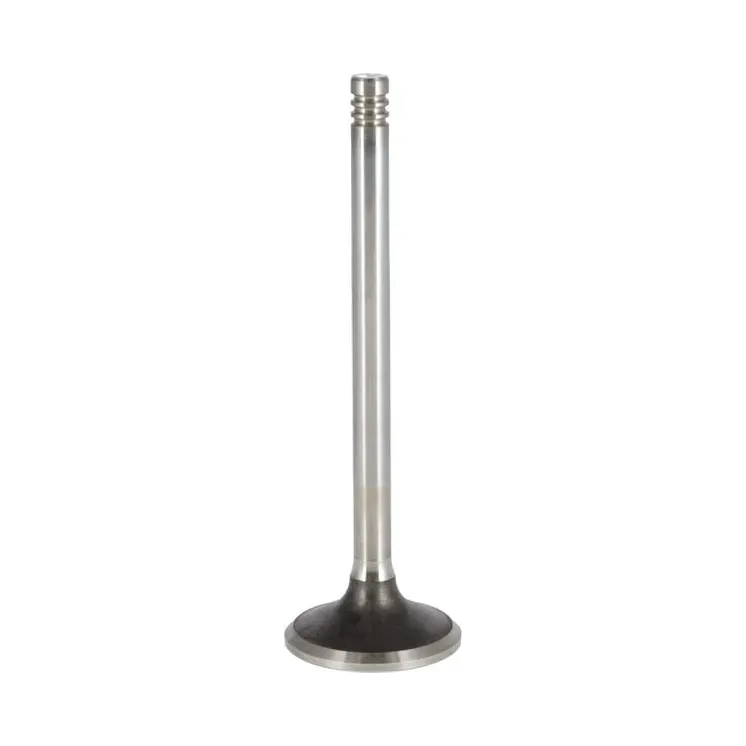 Exhaust valve  04290025 DEUTZ