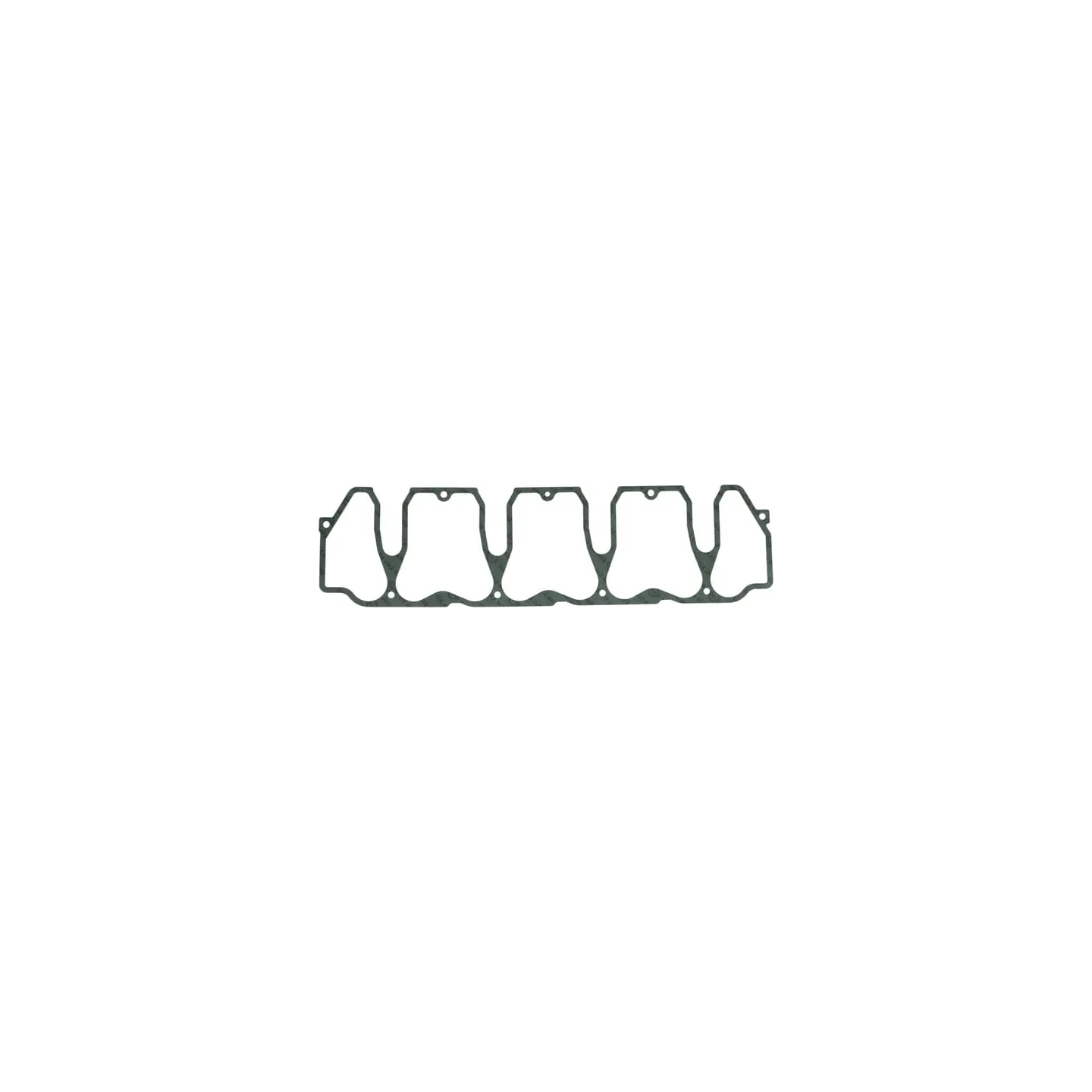 Gasket  04205895 DEUTZ