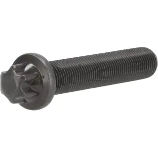 Torx head bolt  04253406 DEUTZ