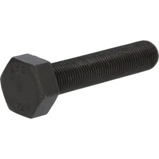Hexagon bolt  04204130 DEUTZ