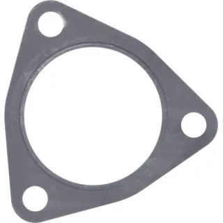 Gasket  04209202 DEUTZ