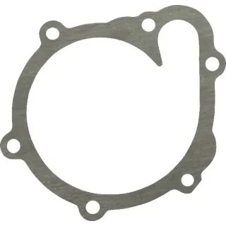 Seal  04202975 DEUTZ