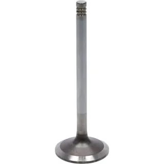 Inlet valve  04283380 DEUTZ