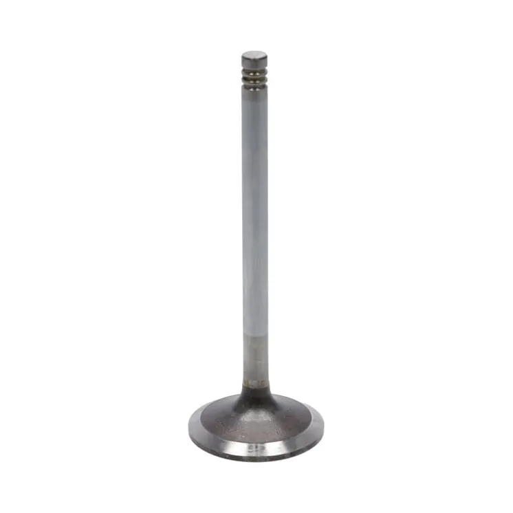 Inlet valve  04283380 DEUTZ