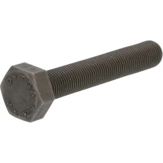 Hexagon bolt  04204189 DEUTZ