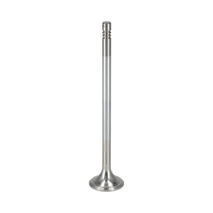 Exhaust valve  04289801 DEUTZ