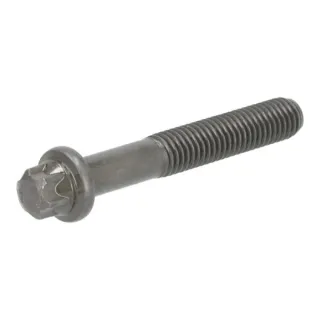 Torx head bolt  04291334 DEUTZ