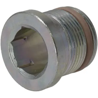 Collar screw  04209118 DEUTZ