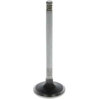 Inlet valve  04284042 DEUTZ