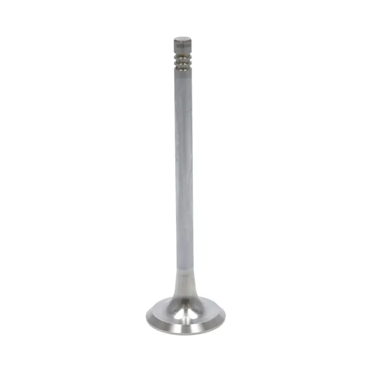 Exhaust valve  04159137 DEUTZ