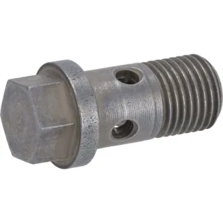 Hollow screw  02231136 DEUTZ