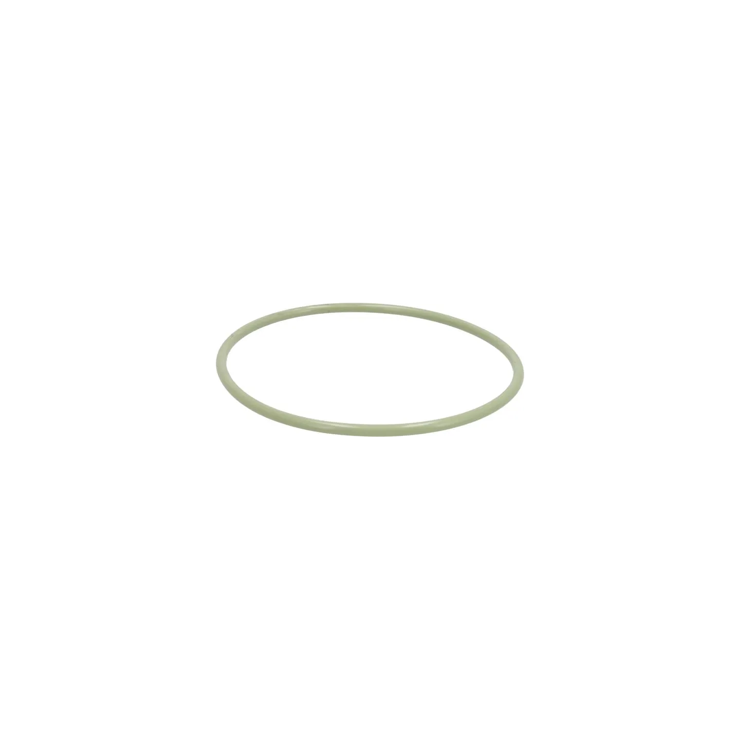 Sealing ring  02407947 DEUTZ