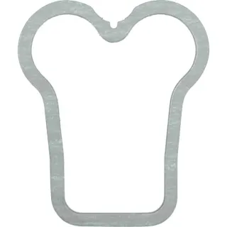 Gasket  12159838 DEUTZ