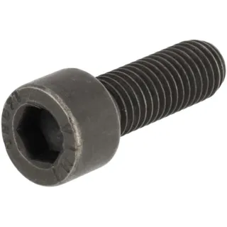 Cheese head screw  12317086 DEUTZ