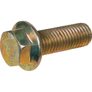 Ripp Screw  VF16608183 DEUTZ-FAHR