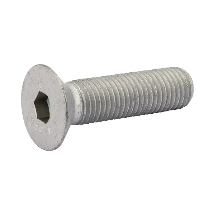 Iegremdētā skrūve M16x60 10.9 GEOM3 00370411 Horsch